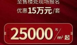 豪华29代最新爆料,尖端科技与奢华体验的完美融合